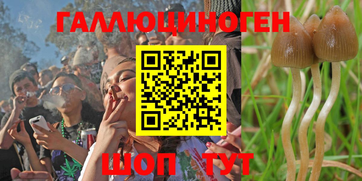 Псилоцибиновые грибы Psilocybe  Вход с VPN  где можно купить наркотик  Балтийск  Псилоцибиновые грибы GOLDEN TEACHER 