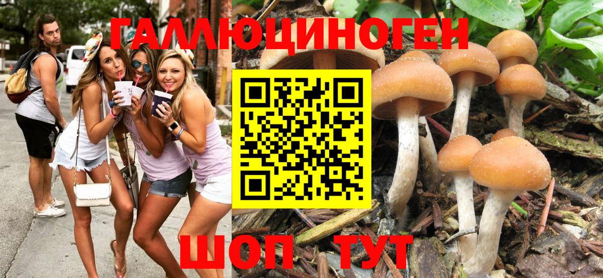 Псилоцибиновые грибы ЛСД Балтийск